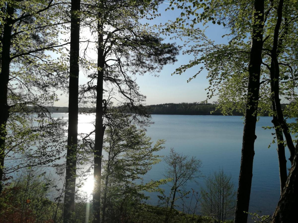 Instytut Wypoczynku - Domki Nad Jeziorem Mausz Sulęczyno Exterior foto